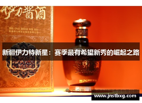 新疆伊力特新星：赛季最有希望新秀的崛起之路